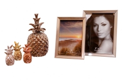 037 ram za slike dekorativni ananas